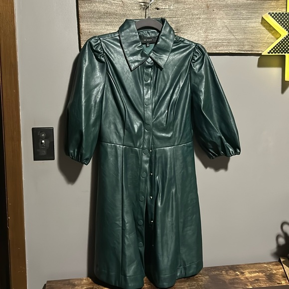 Holiday 🌲 Forest Hunter Green Faux Leather Dress - Picture 2 of 15